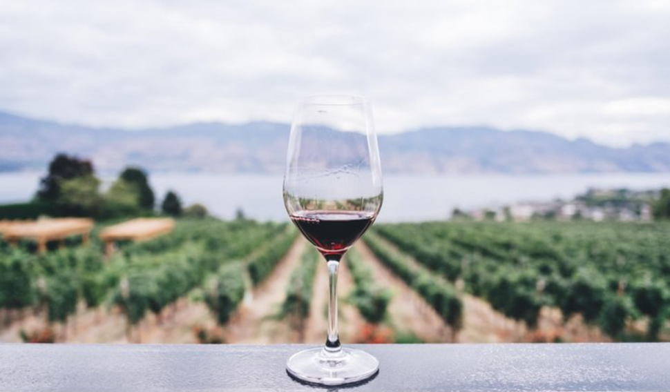 red wine in glass on table outside near the vineyards in The Bay Area