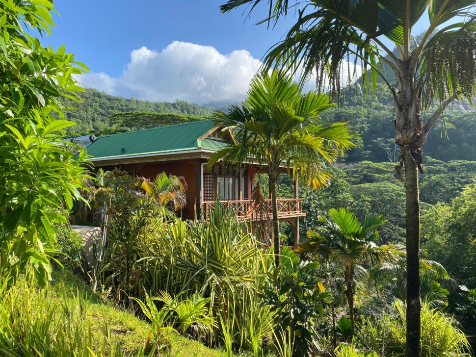 jungle view of treetop hotel in Victoria, Seychelles