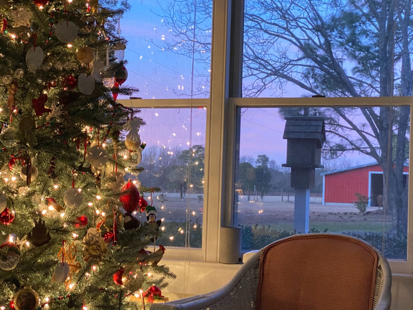 The Carolinas are a great destination to visit during the holidays since they host many festive events. pictured: a house window with a lit up Christmas tree overlooking a farm located in North Carolina