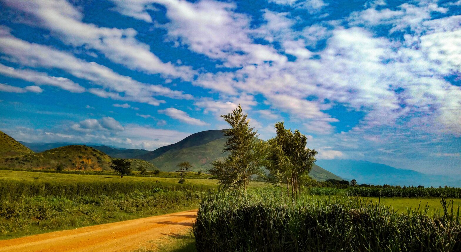 lush green landscape in Eastern African country, Uganda