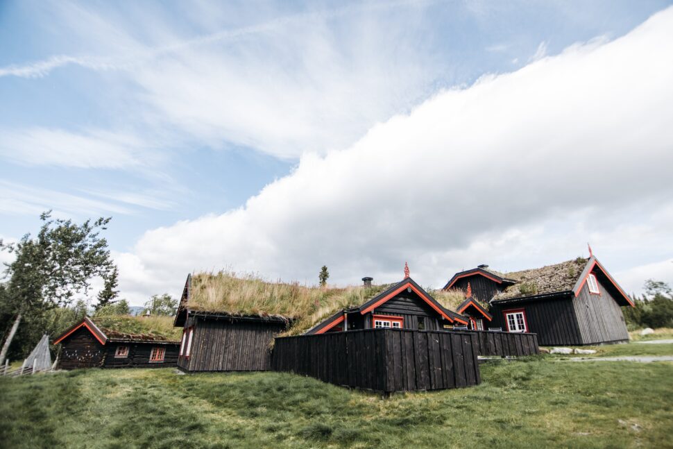 wooden houses