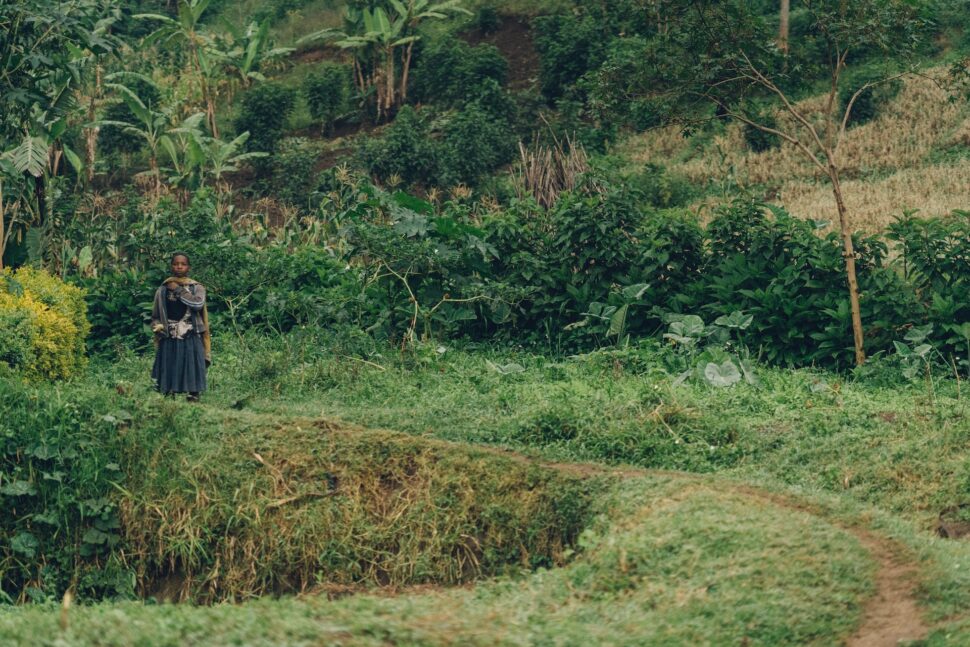 Path in Uganda