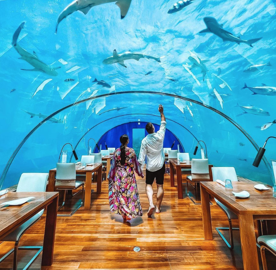 Maldives Undersea Restaurant for ultimate honeymoon bucket list