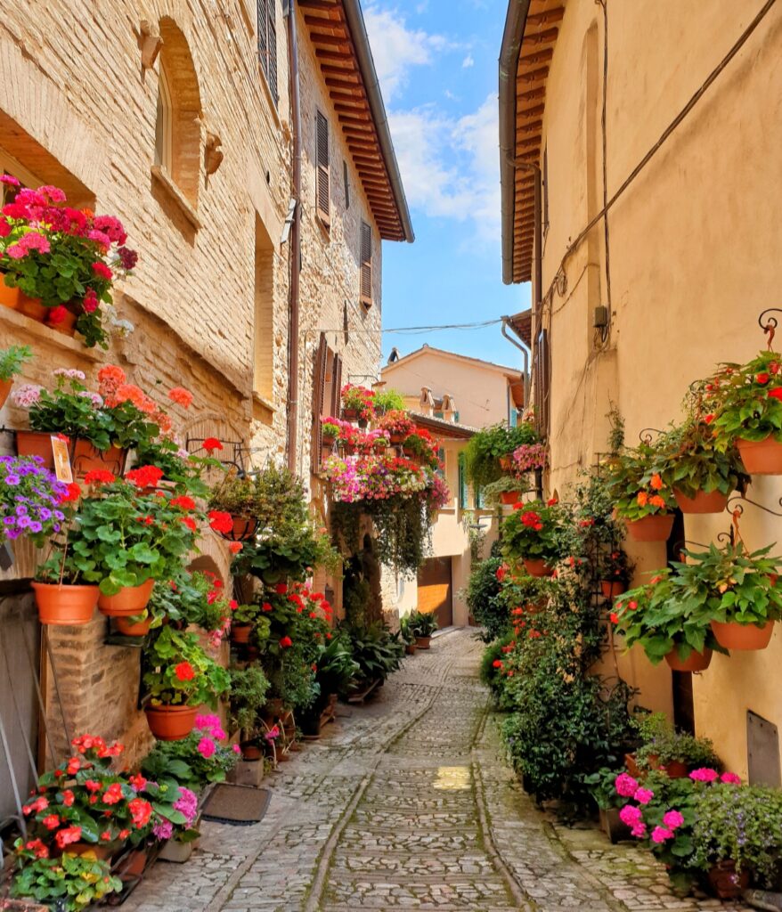 The vibrant flowers of Spello 