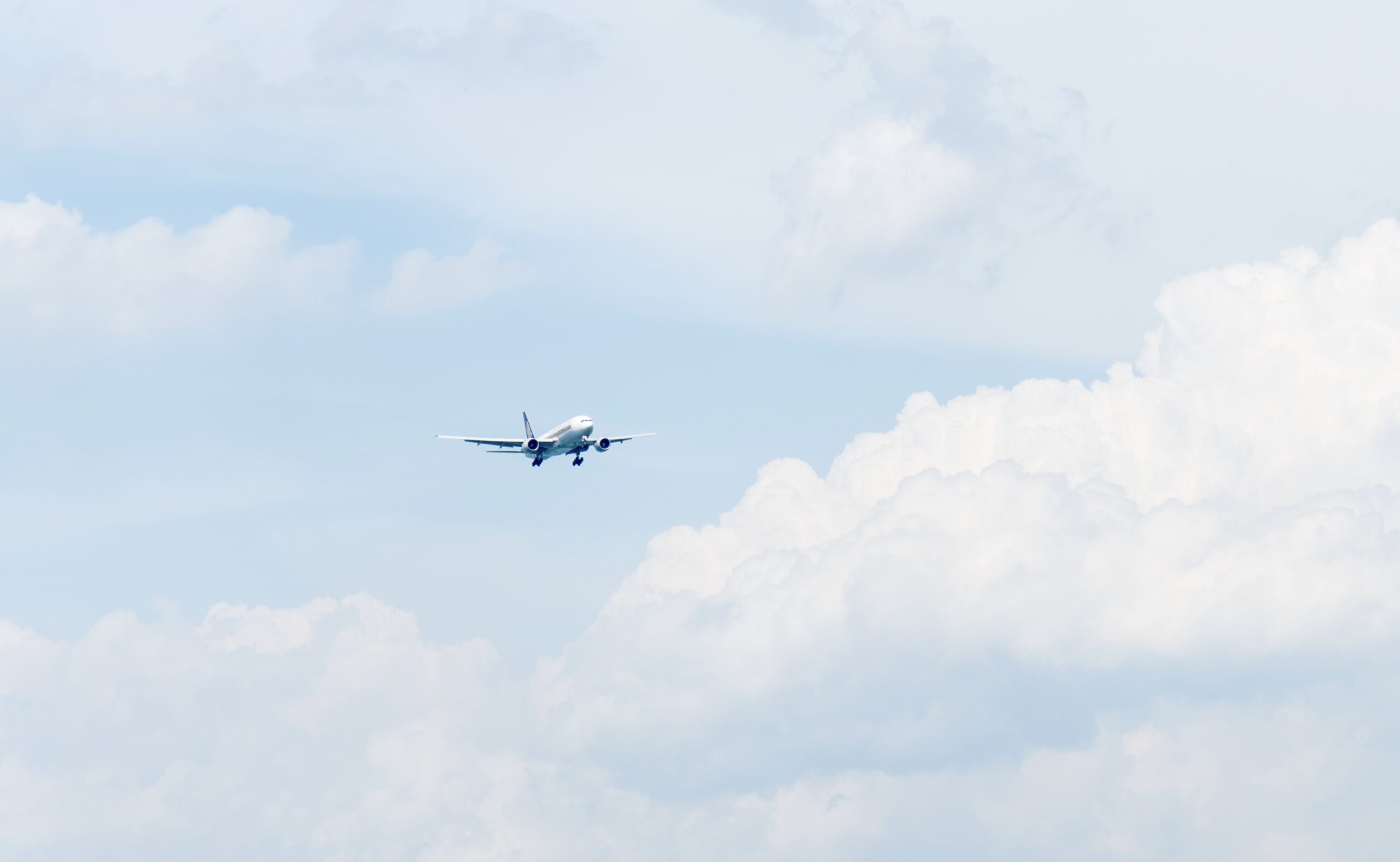 These airlines are the most pet friendly and will help pet parents have calm travels. 
pictured: an airplane in mid-air on a cloudy, sunny day