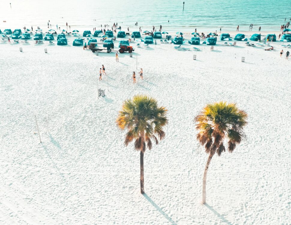 Sand volleyball while the palms watch

