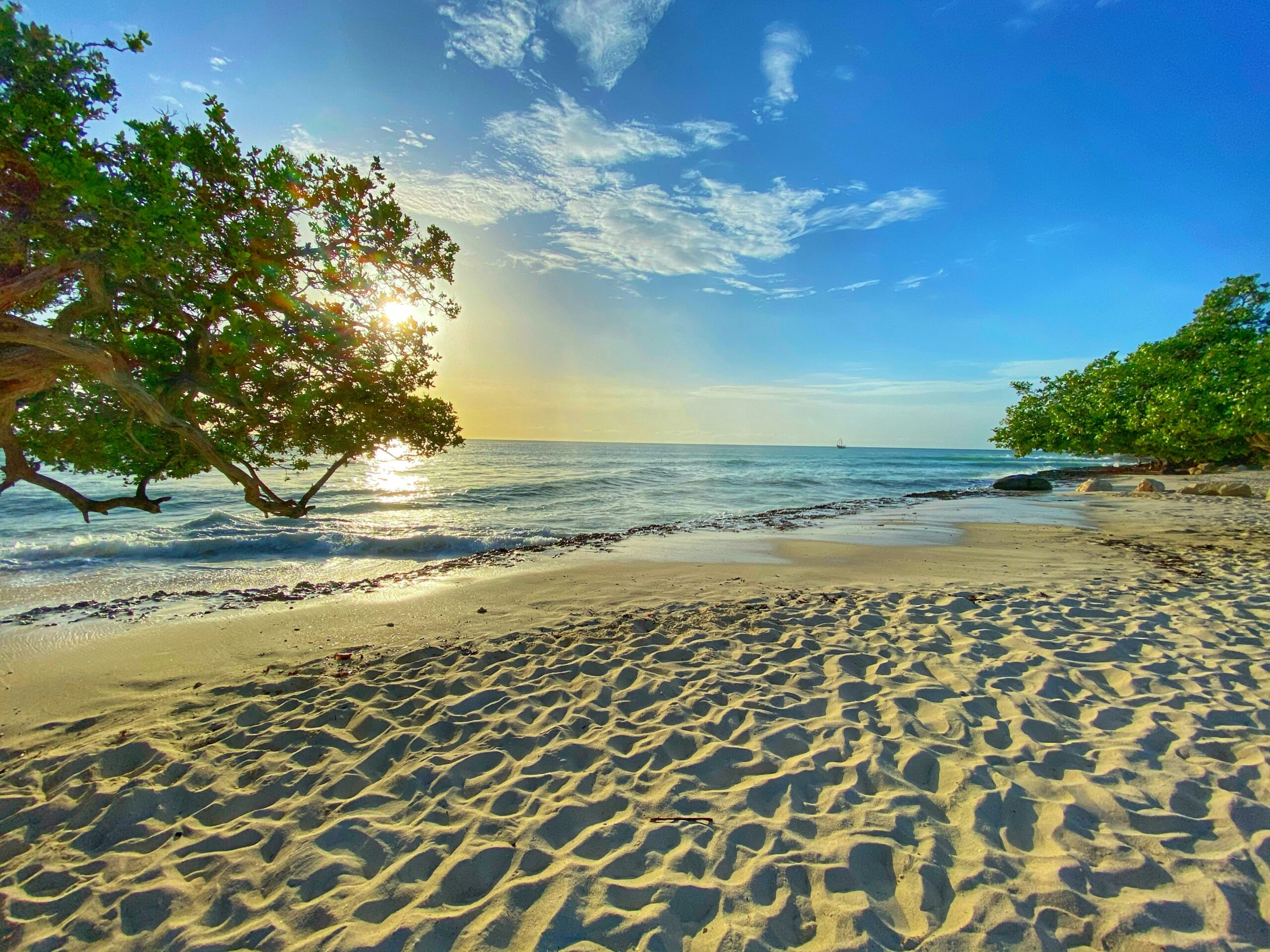 These are the best tips to stay safe while in Aruba. 
pictured: an Aruba beach with lush green trees, soft sand and clear blue waters