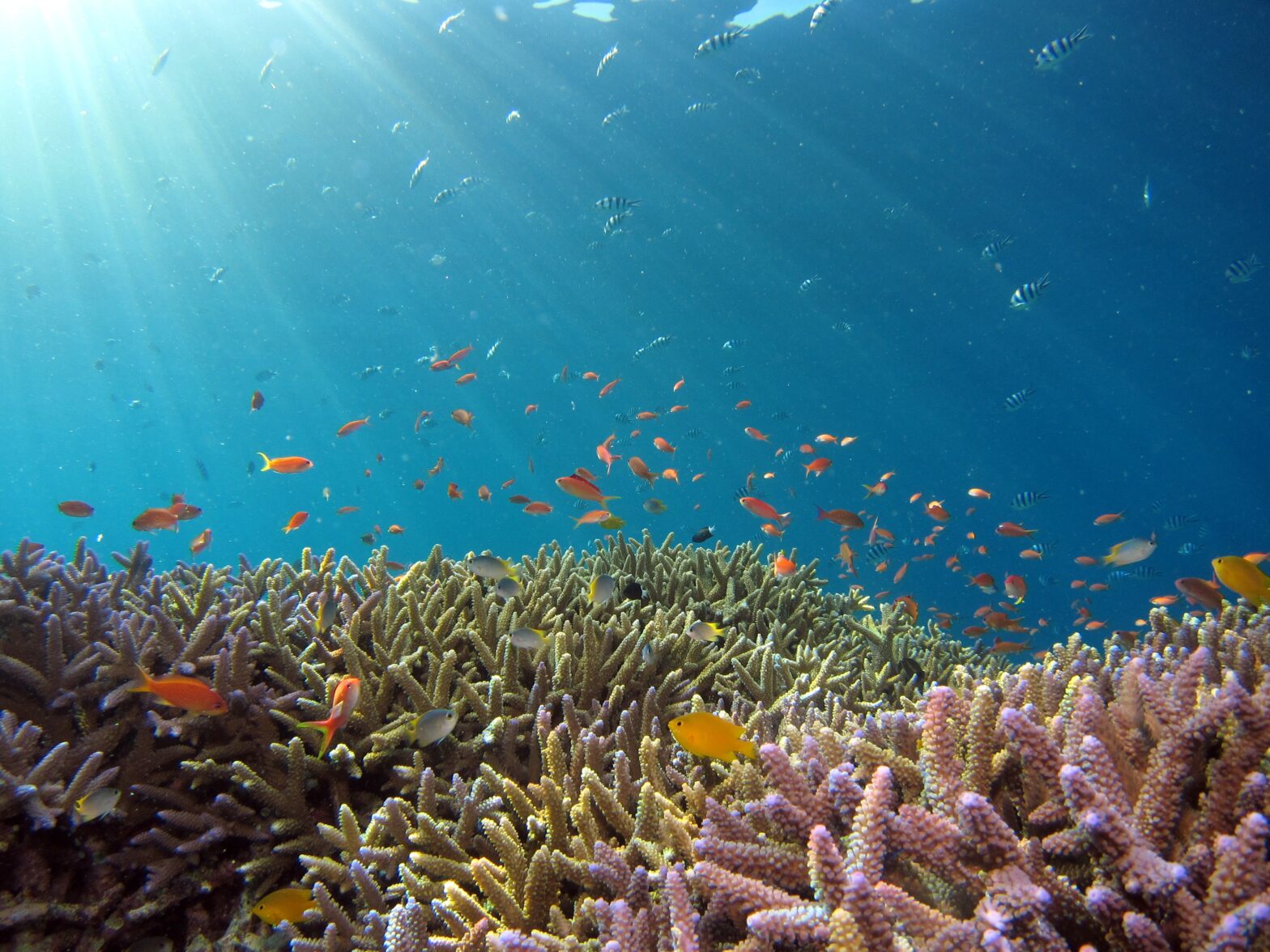 Unique Underwater Stays Around the World