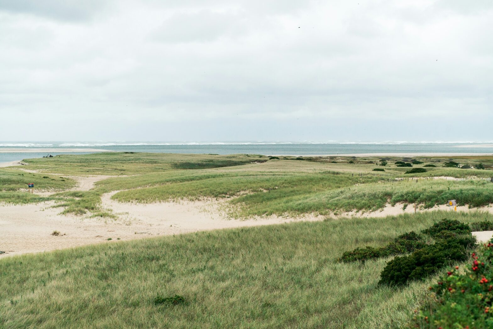 Masssachusetts was the main filming location of the movie "The Holdovers". pictured: the lush green coast of Massachusetts