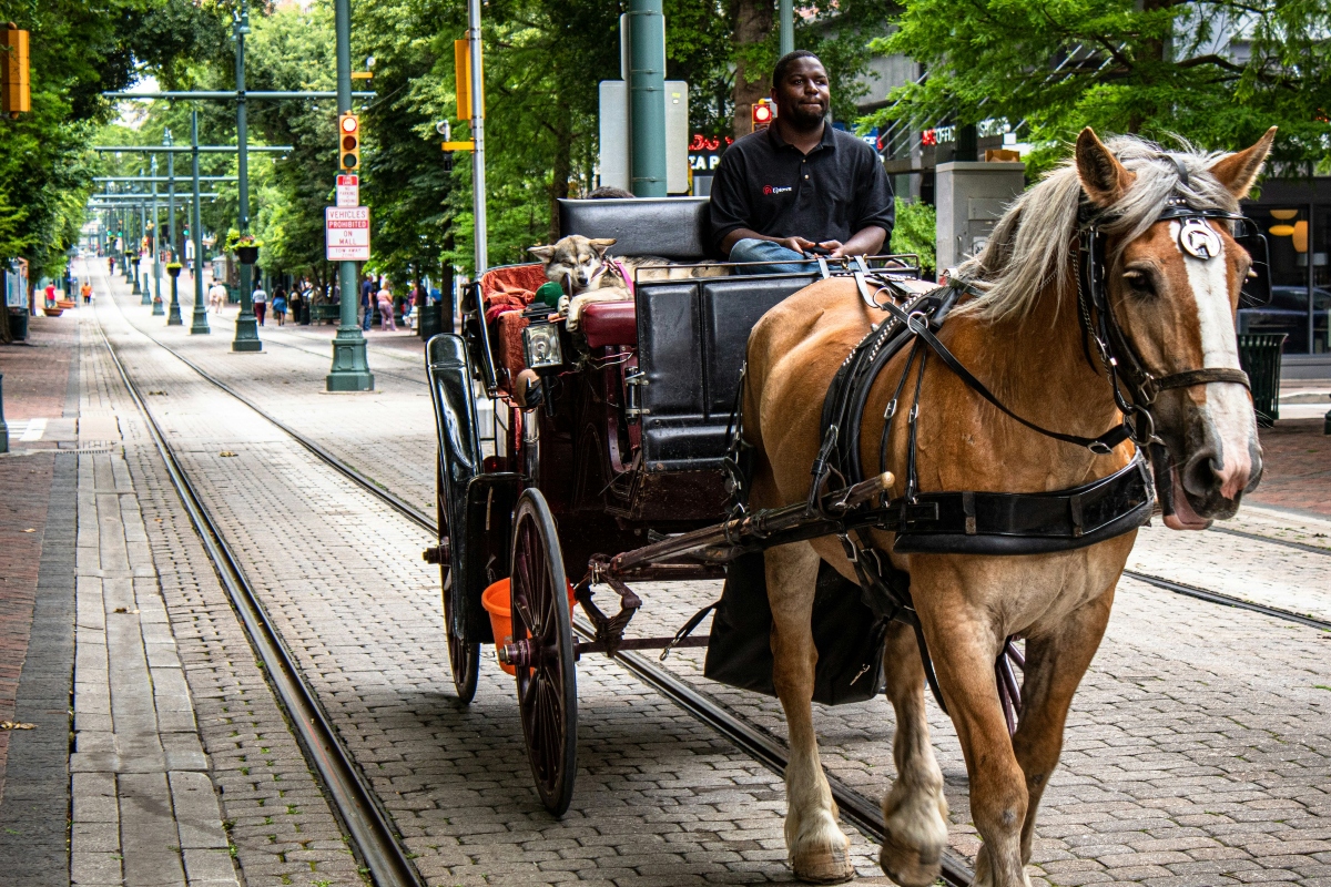 A horse and carriage carries some tourists along Main Street in downtown Memphis, TN.