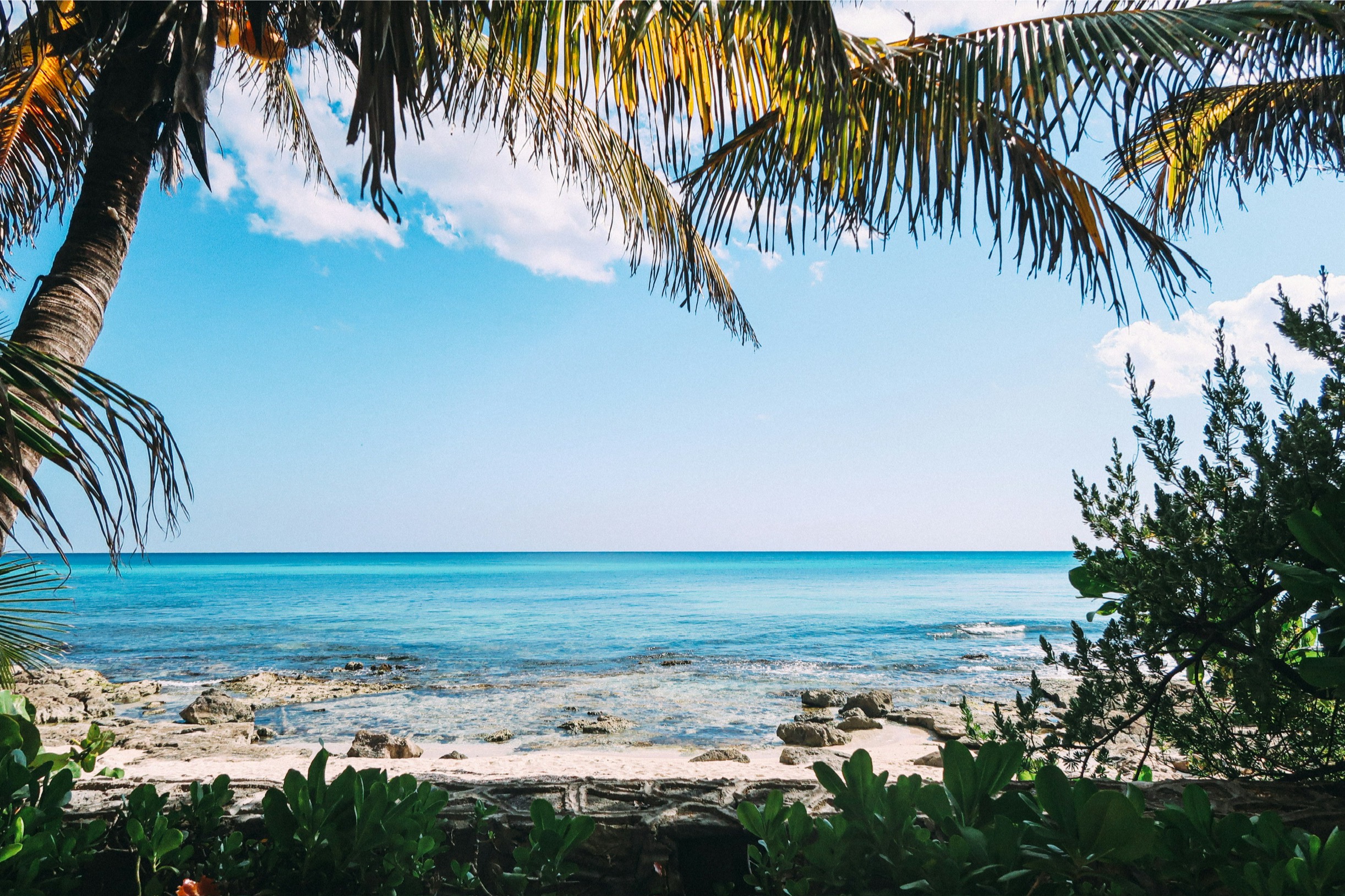 These are the best times to visit the beach in Mexico. 
Pictured: A sprawling beach with large palm trees and clear waters 