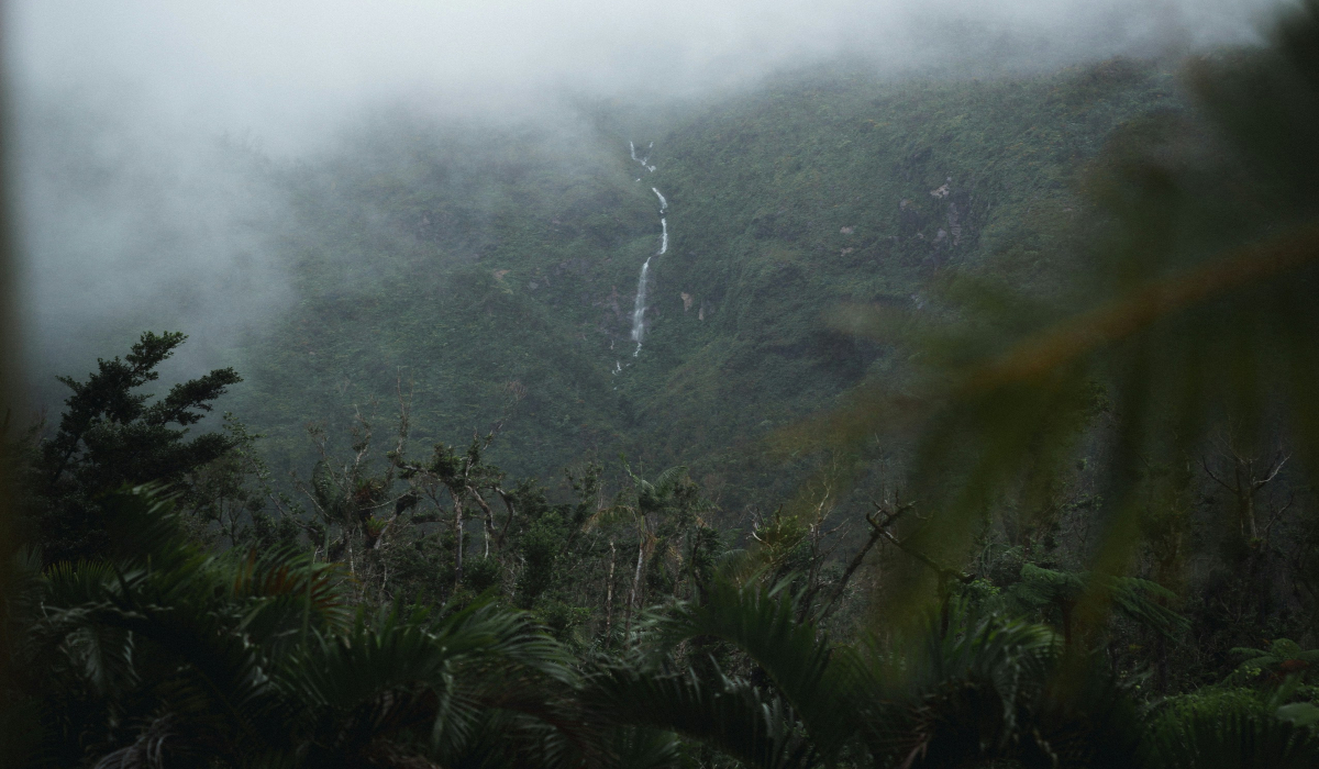 Conquer Dominica's Boiling Lake Hike If You Dare