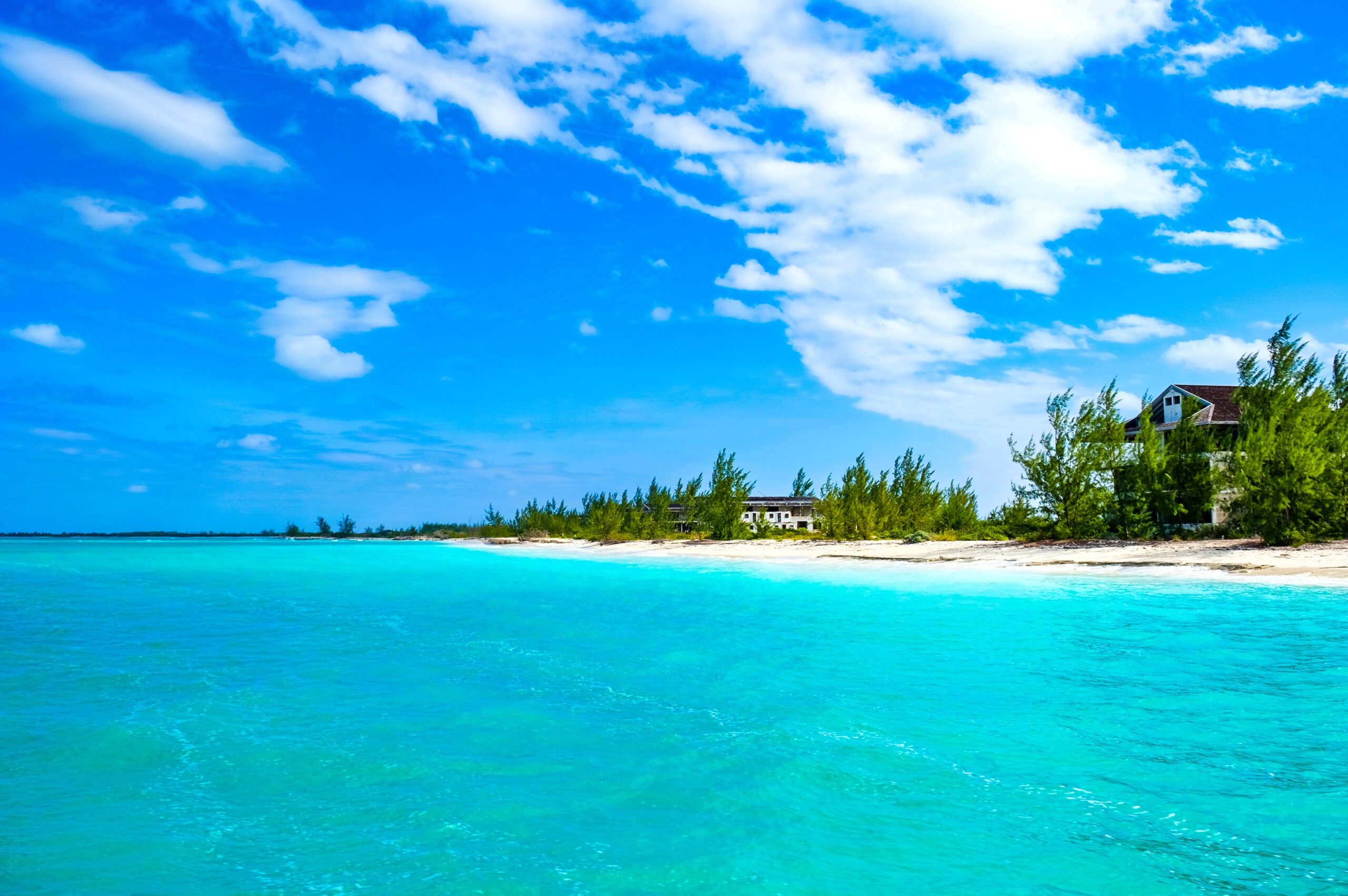 Use these platforms to further assess the safety level of Turks and Caicos for travelers. 
pictured: bright turquoise waters and lush greenery near the sandy beach on a cloudy day in Turks and Caicos