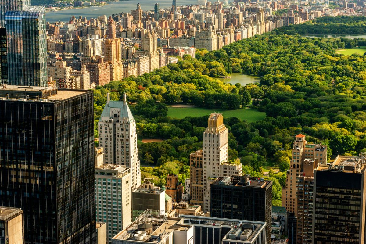 aerial view of Central Park in New York City