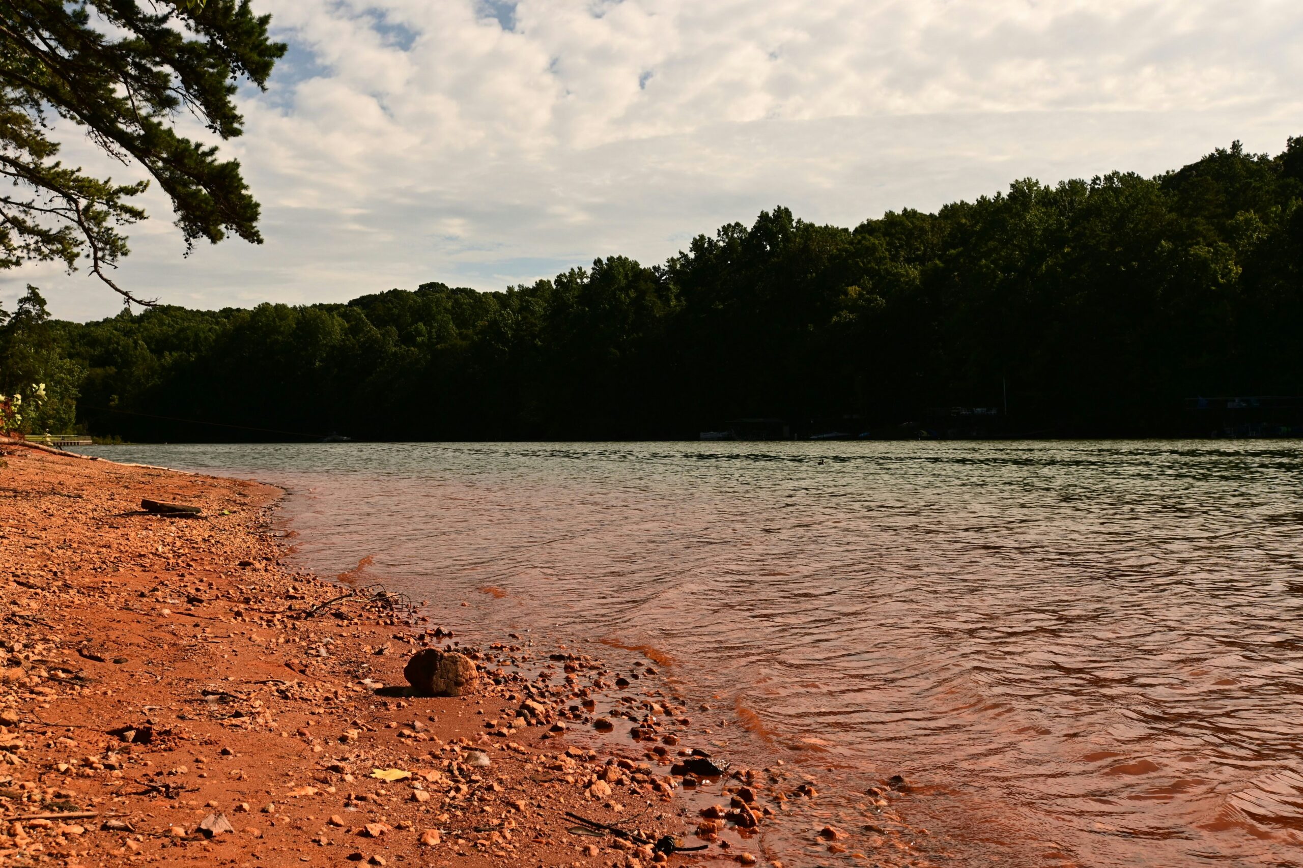 The history of Lake Lanier is dark and has negatively impacted Black communities. Learn more about what has occurred at the lake.
Pictured: the reddish chalky shore of Lake Lanier with forest surrounding the water 