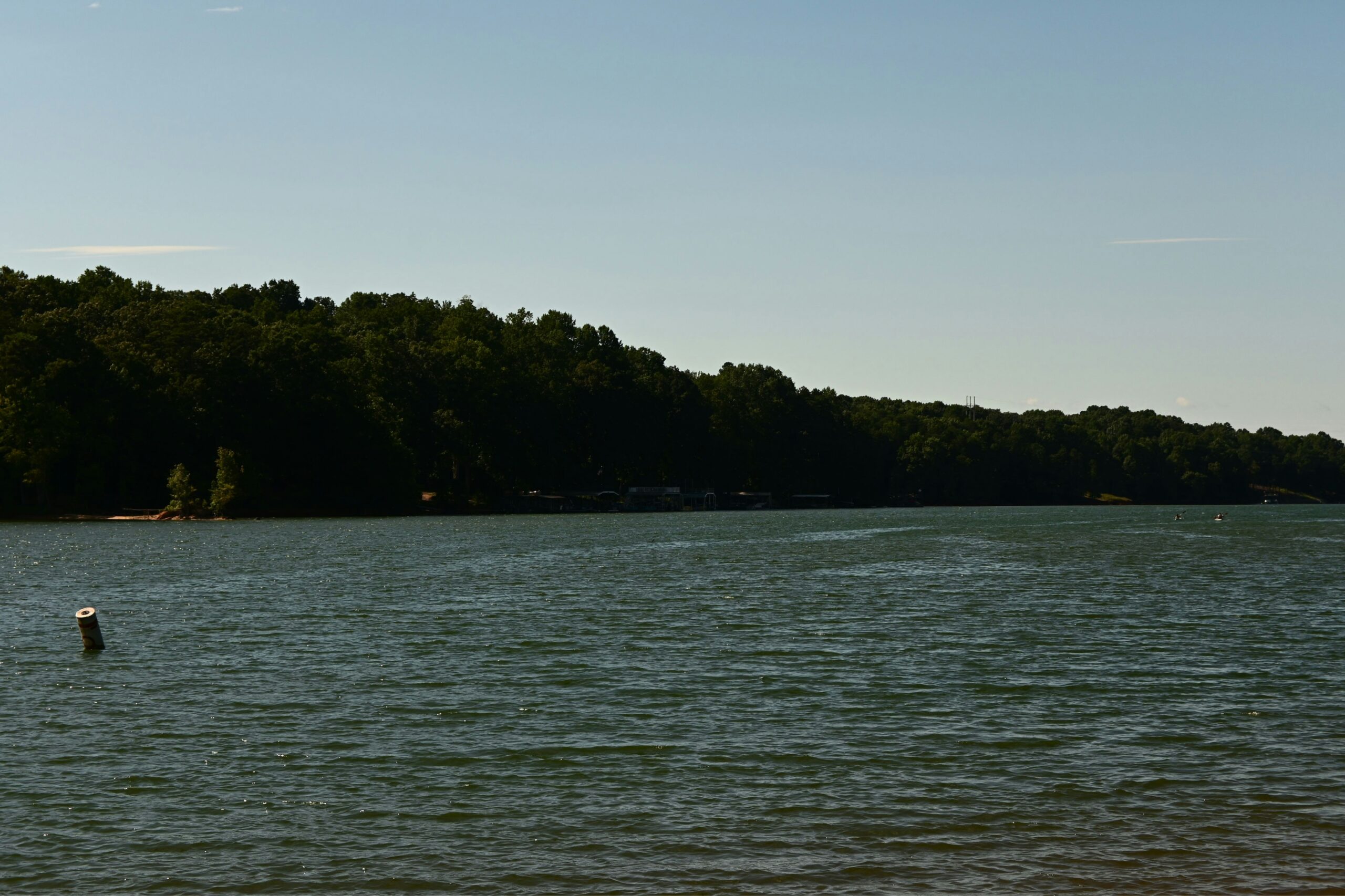 Learn more about why Lake Lanier is a dangerous place to visit. 
Pictured: Lake Lanier with objects protruding through the water on a bright blue day