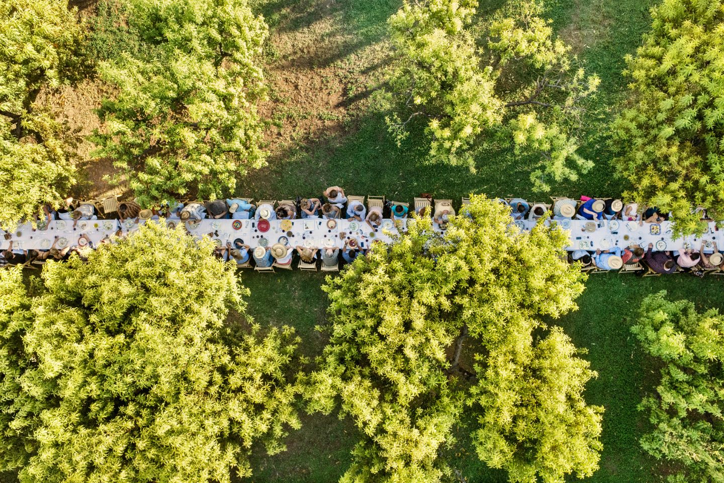 overhead view of people sitting at a long dining table outdoors