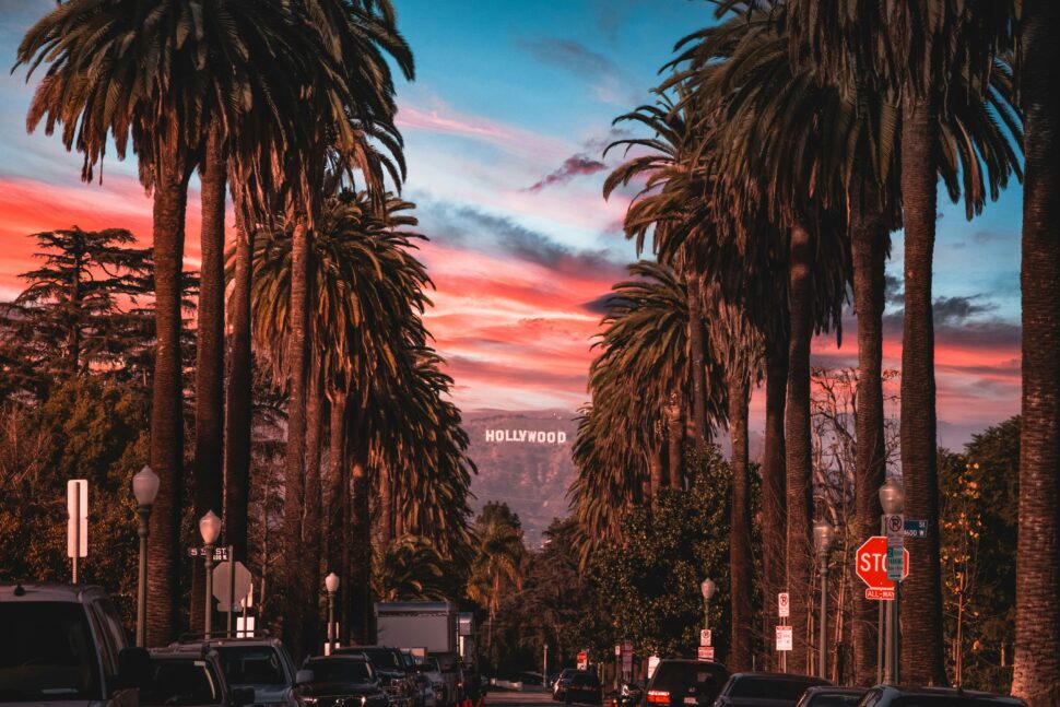 Pictured: street view of the Hollywood sign between tall palm trees along Hollywood Boulevard in Los Angeles, California