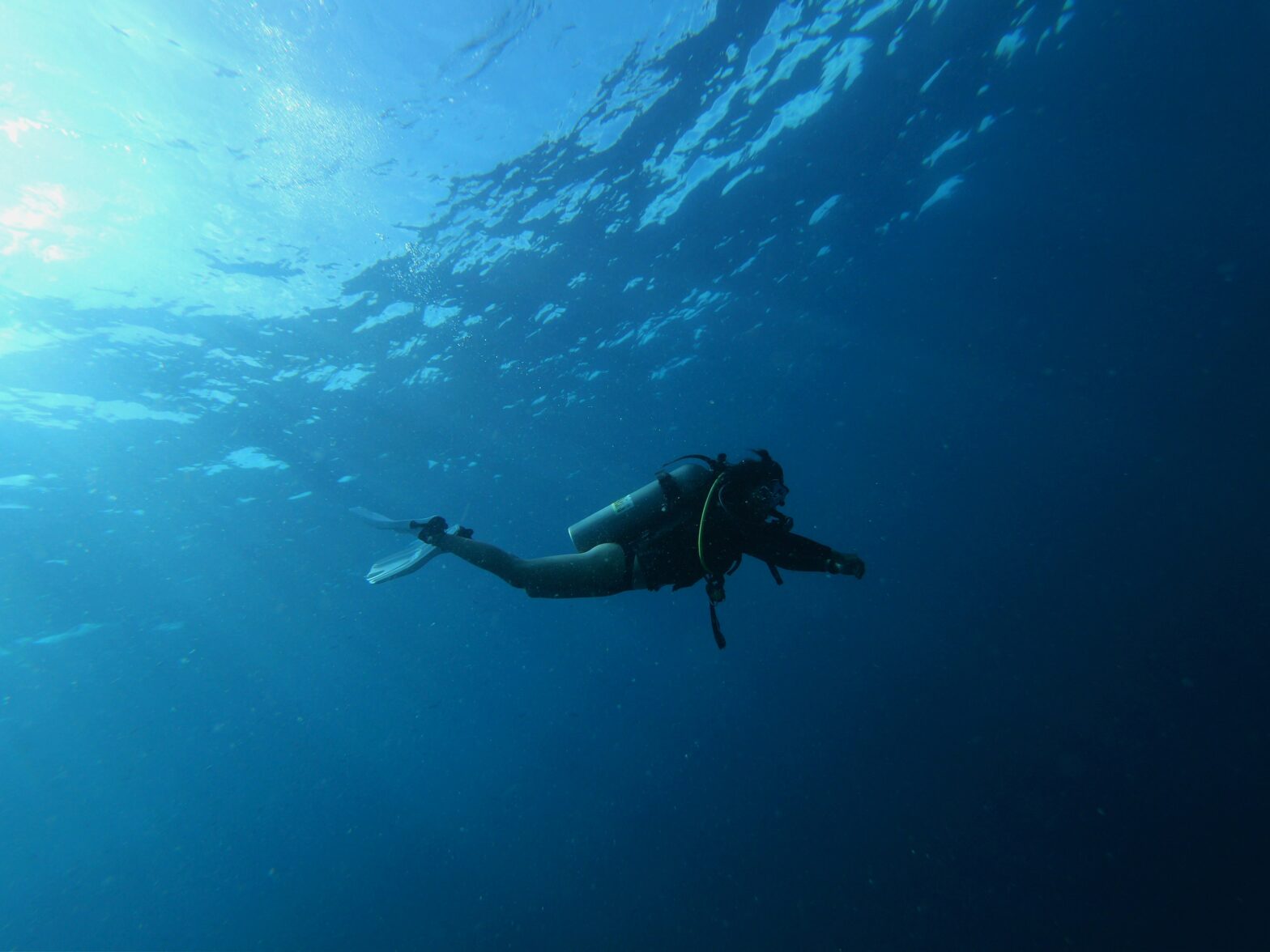 Black Scuba Diver Goes Viral In Tear-Jerking Video Showcasing The Support Of Black Women