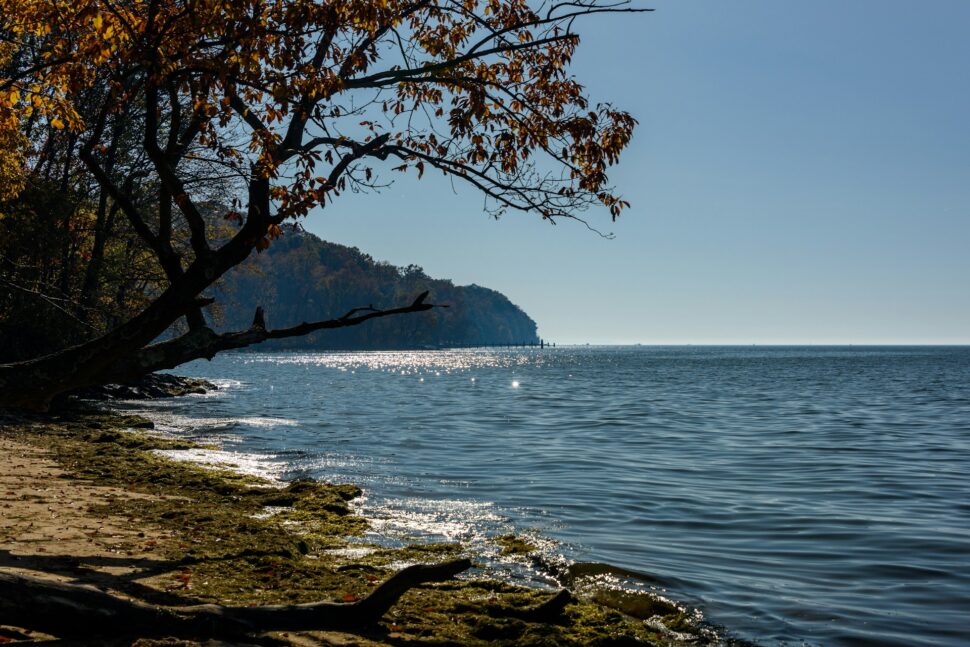 Chesapeake Bay overlooking Northeast, Maryland