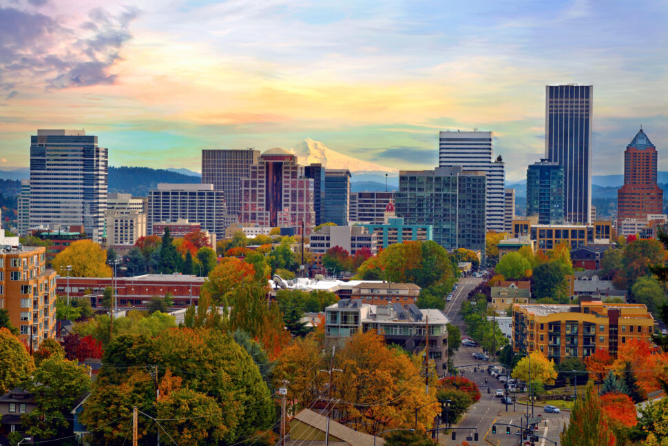 
Pictured: high rise buildings with trees on a bright and sunny day.