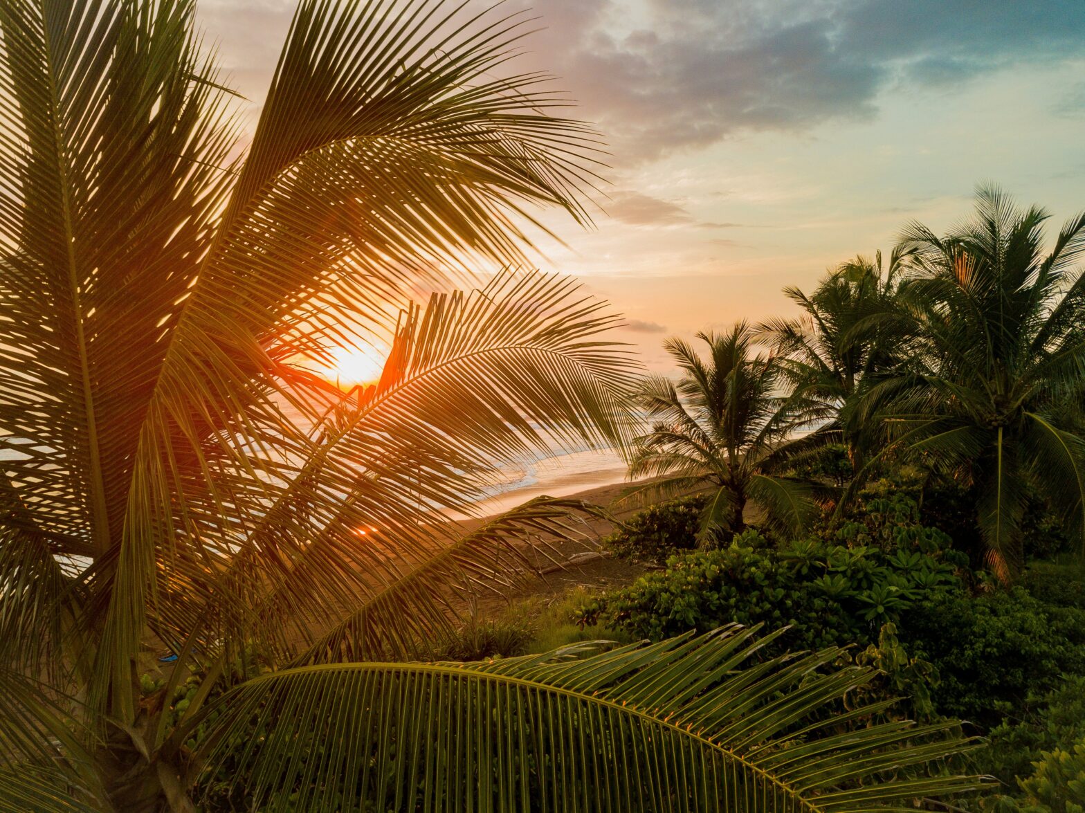 These are the safest Central American countries and what they offer to travelers. Pictured: a scenic view of a lush palm tree overlooking s beautiful beach