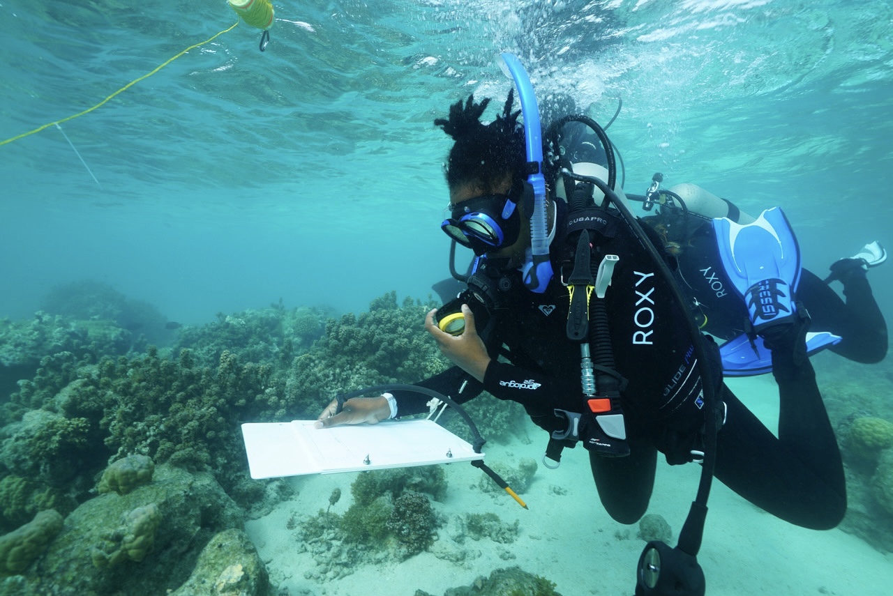 Black Marine Biologist doing research underwater