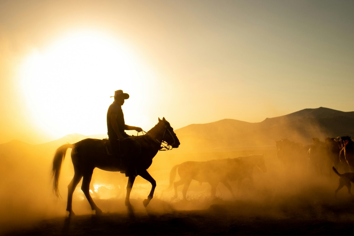 black cowboys