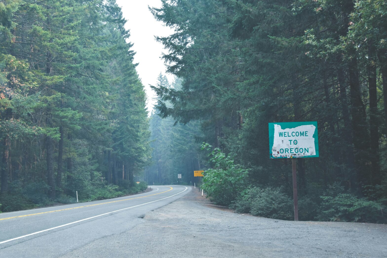 windy road in Portland Oregon