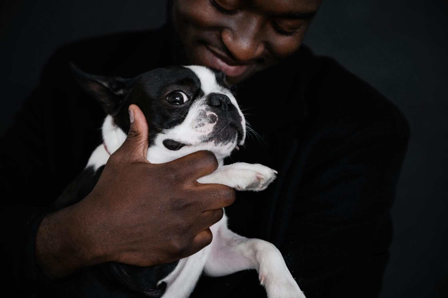 New American Airlines Policy Gives Travelers With Pets More Options