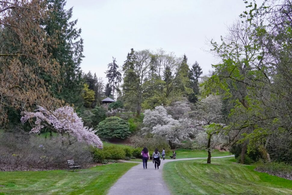 walking through Washington Park Arboretum