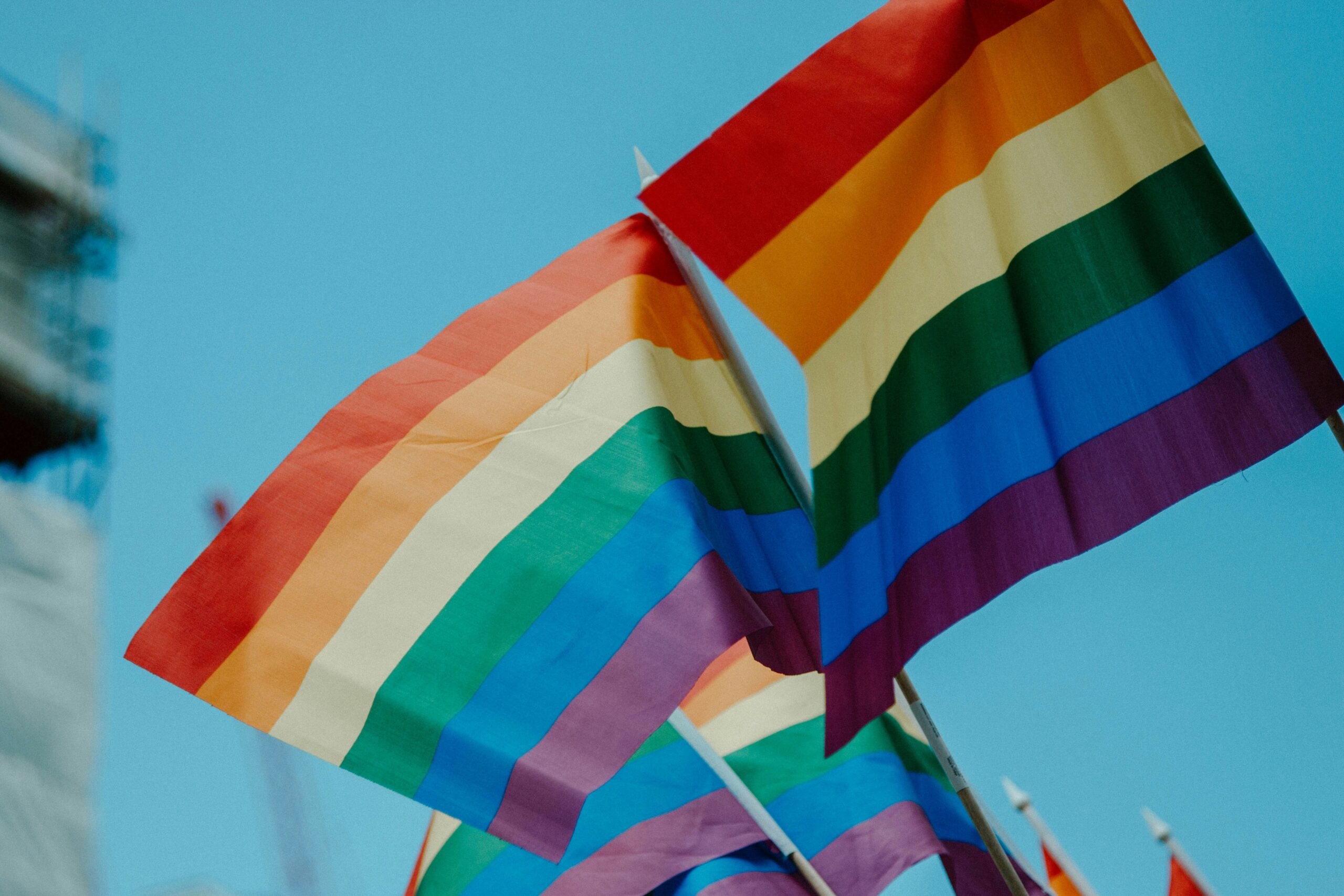 Learn more about the new law that has classified the LGBTQIA+ community in Peru.
Pictured: a pride flag