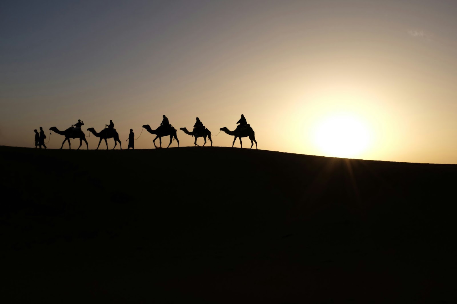 Travelers should visit the Sahara Desert during a visit to Morocco.
pictured: a camel tour of the Sahara Desert