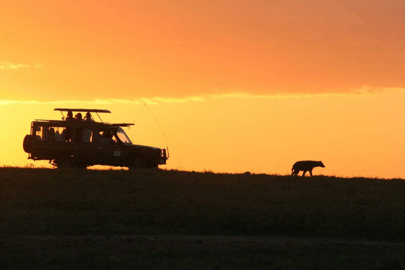 Kenya at sunset.