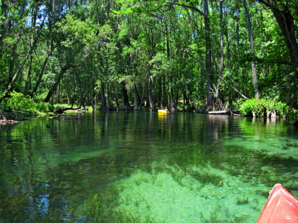 best places to visit in florida Pictured: Kayaking the Ichetucknee River, Ichetucknee Springs State Park, Florida.