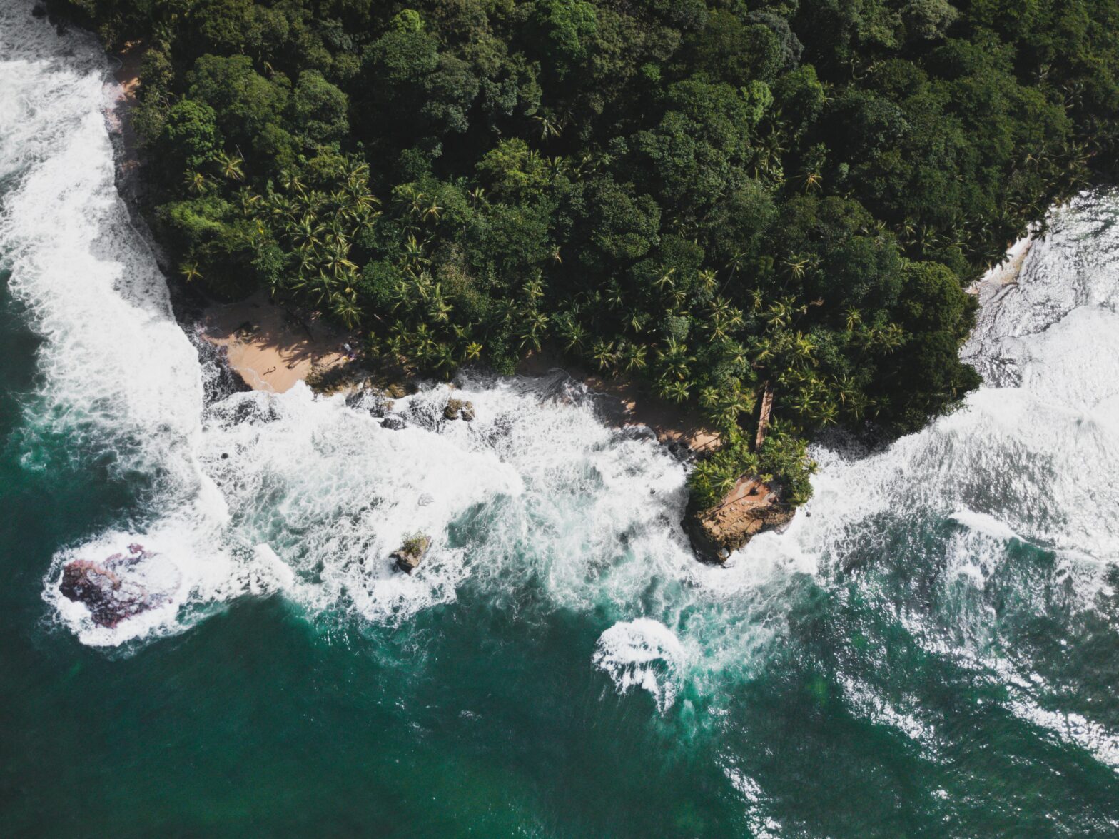 bright green forest on the coastline with white waves breaking on the shore in Limon, Costa Rica