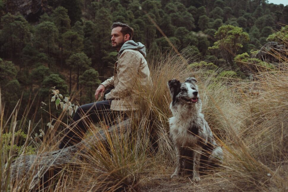 Australian Shepherd and man