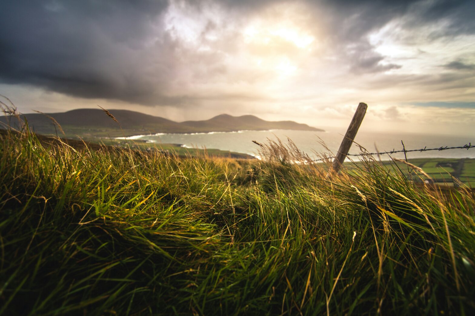 Learn about the best features of Ireland in May. pictured: a field and coastal view on a bright cloudy day