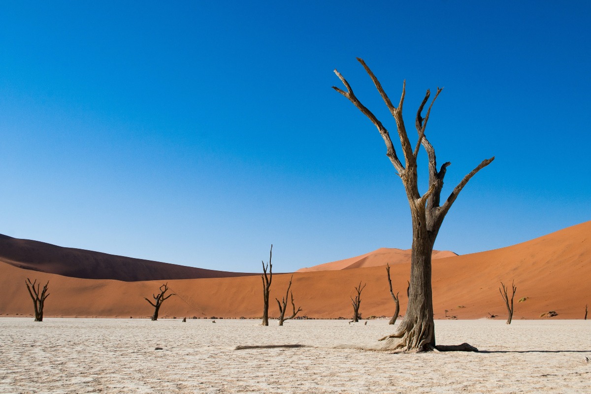 Manika Gamble Makes History As First African American Woman To Conquer 155-Mile Namib Desert Race