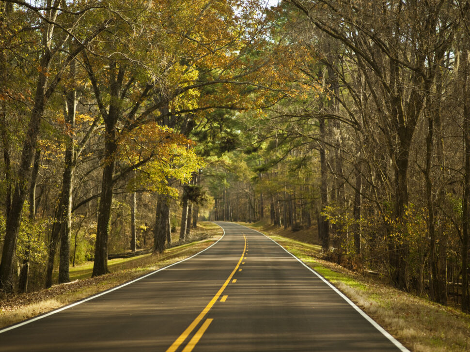 Highway in autumn for fall photography