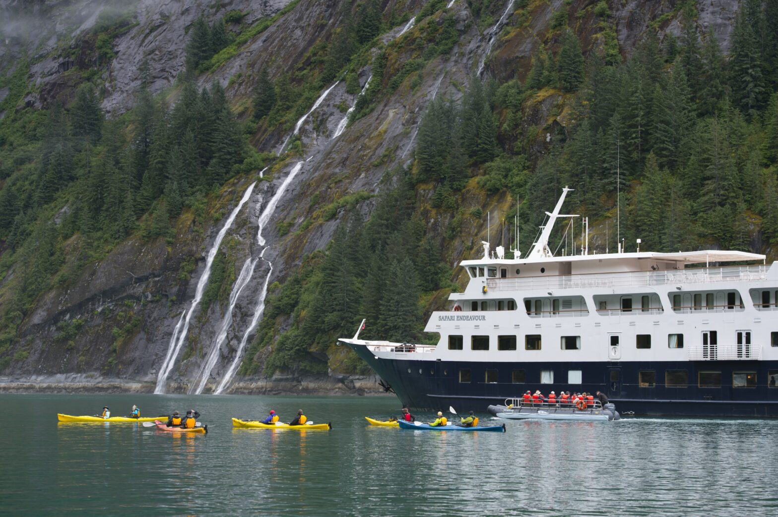 Best Alaskan Cruise Line pictured: Tongass National Forest, Alaska