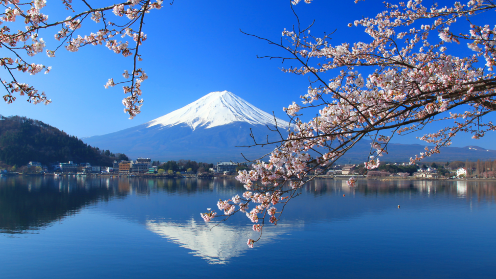 View of Mount Fuji in Fujisan Yume no Ohashi 