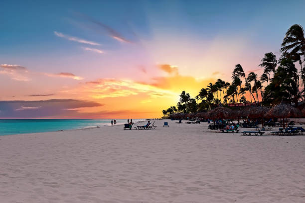 a wide open beach at sunset