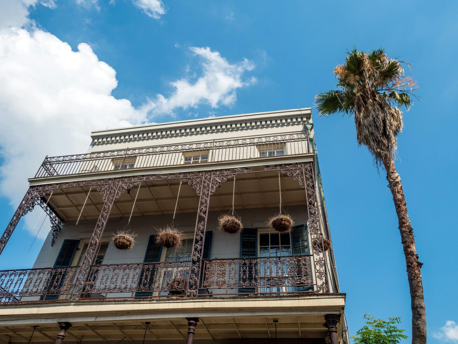 Creole townhouse balcony and hanging baskets with palm tree