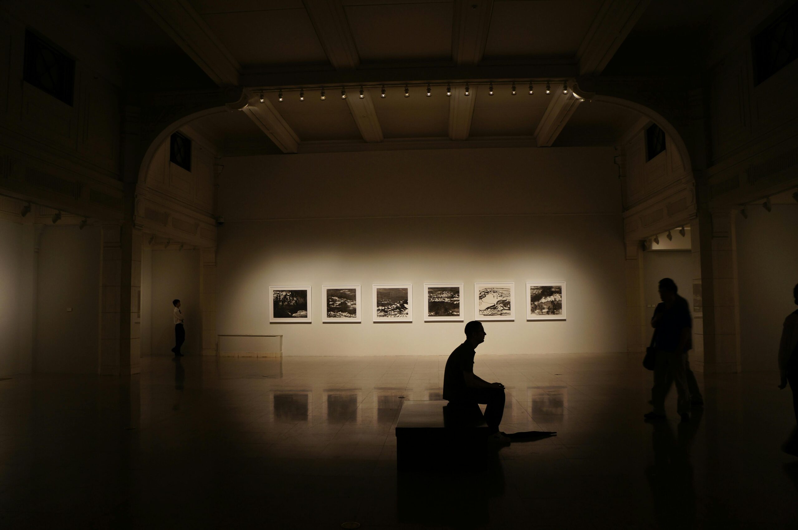 The art culture is thriving in Charleston. 
pictured: a man in a museum