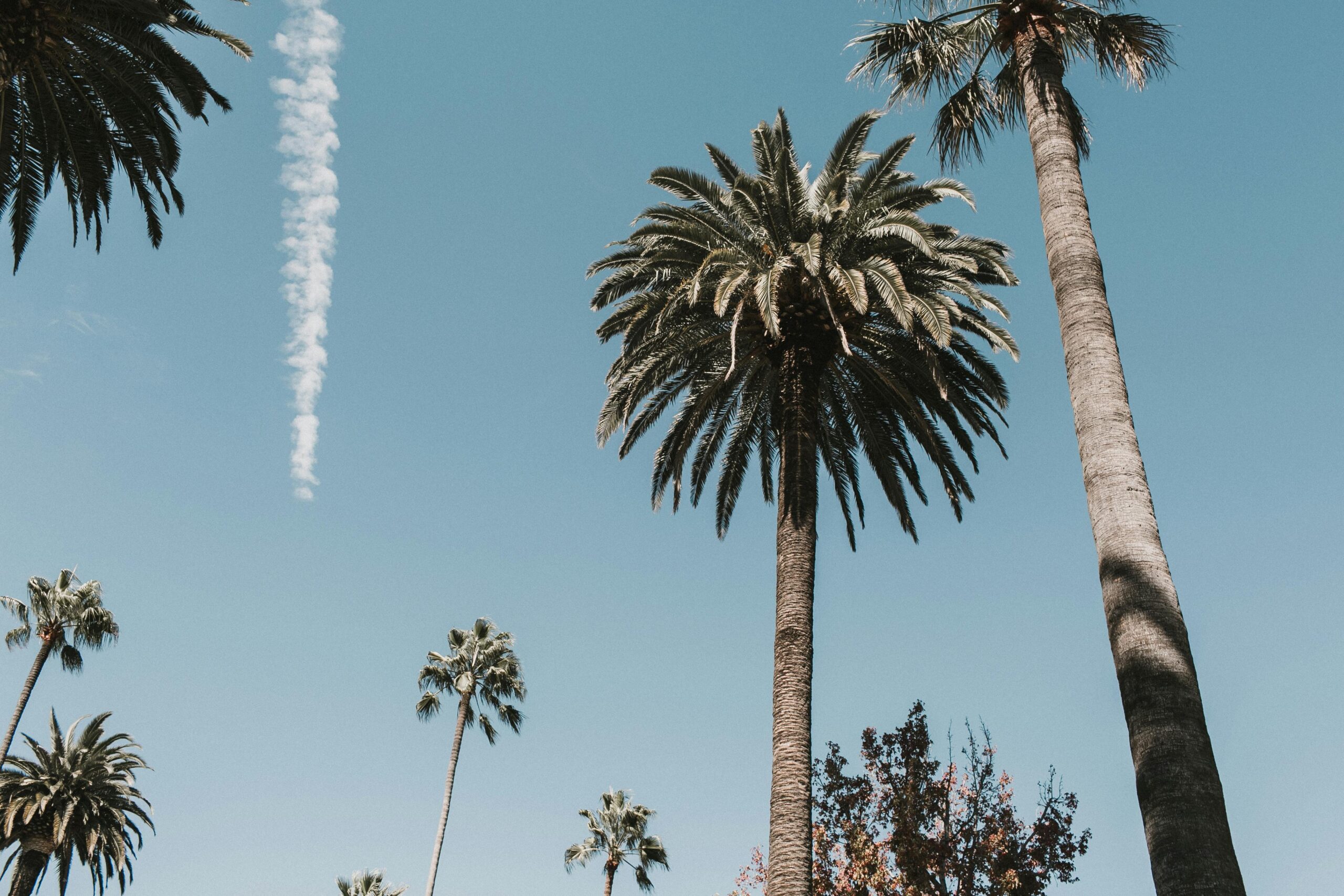 Los Angeles is a popular place to visit on the Fourth of July. 
pictured: Los Angeles clear skies 