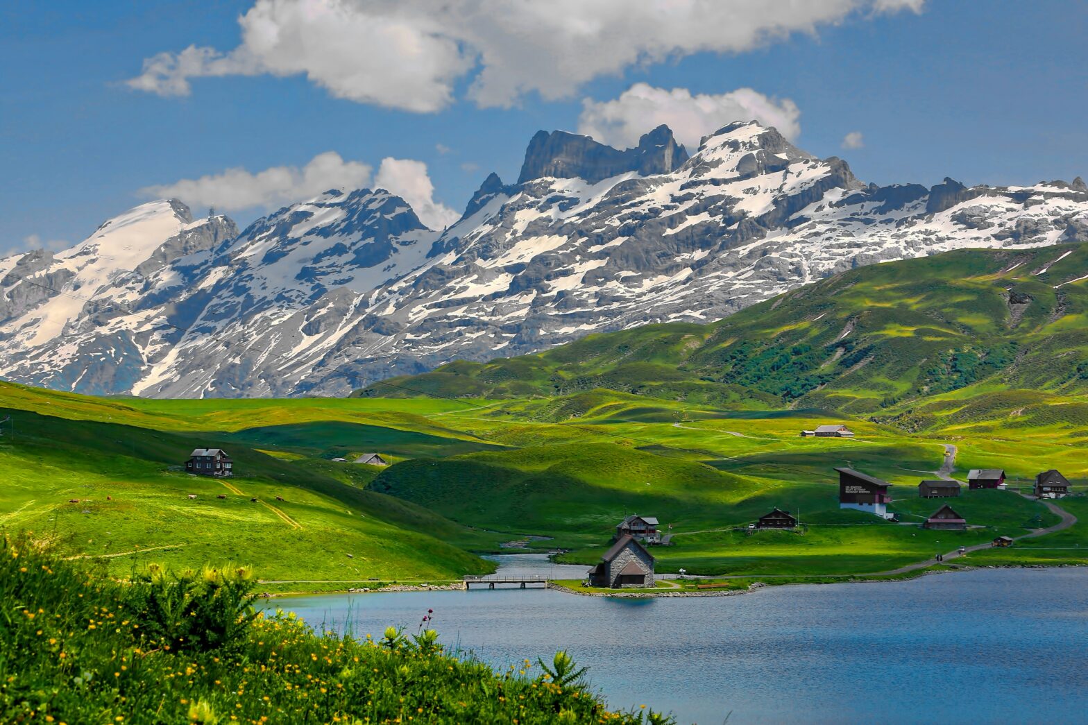 Switzerland landscape - mountains and green rolling hills near a lake