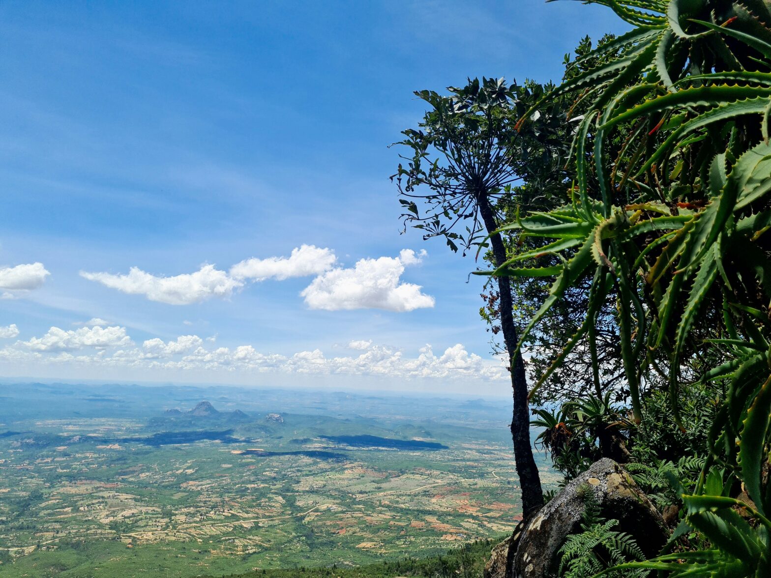 these are the top eight reasons why August is the best time to visit Zimbabwe. pictured: Zimbabwe