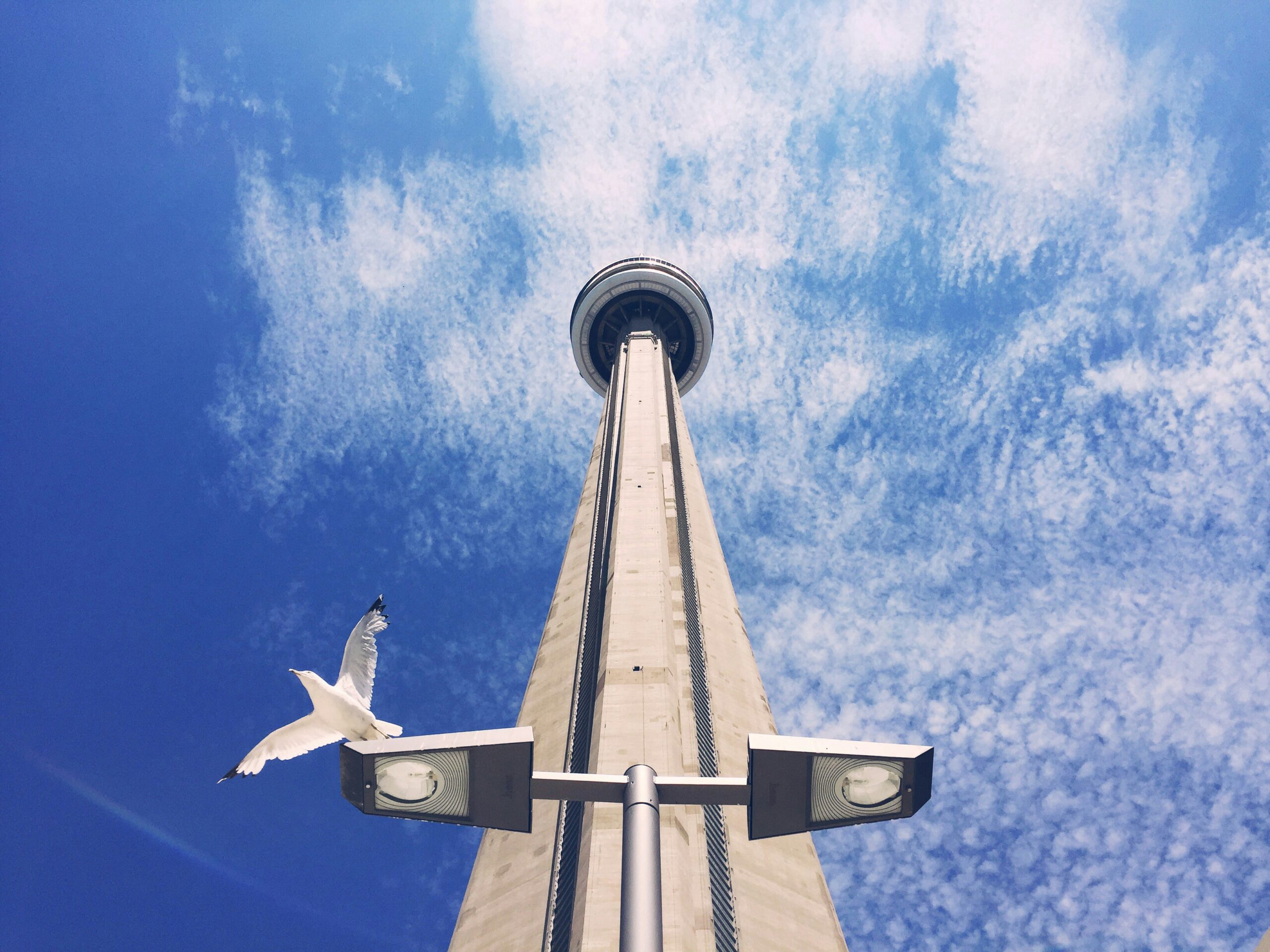 Bird watching is a popular activity in Toronto during spring. 
pictured: Toronto 