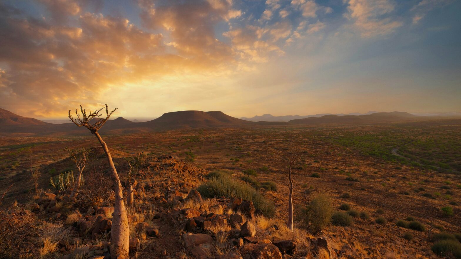 These are the top eight reasons that travelers should visit Namibia during fall. Pictured: Namibia desert